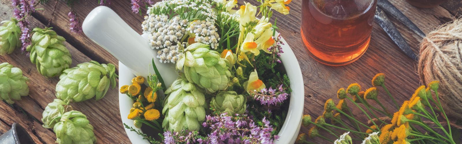 Les plantes et le stress