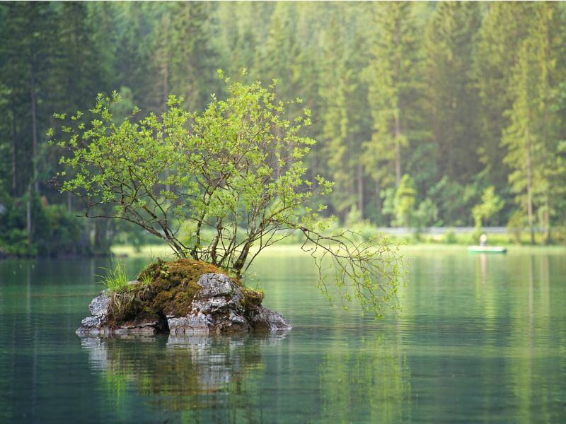 Relaxation psychosomatique et hypersensibilité émotionnelle